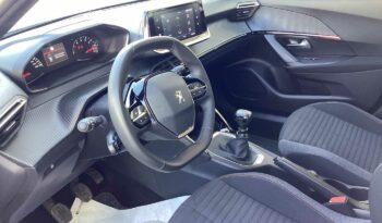 
										Peugeot 2008 2ª serie PureTech 100 S&S Active Pack full									