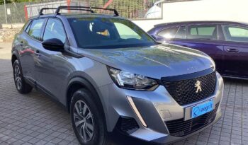 
										Peugeot 2008 2ª serie PureTech 100 S&S Active Pack full									