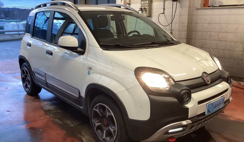 
								Fiat Panda Cross 1.0 FireFly S&S Hybrid full									
