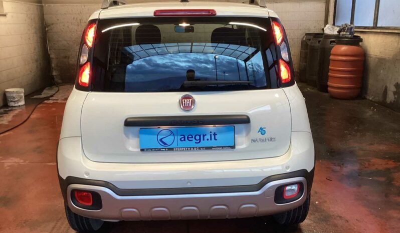 
								Fiat Panda Cross 1.0 FireFly S&S Hybrid full									