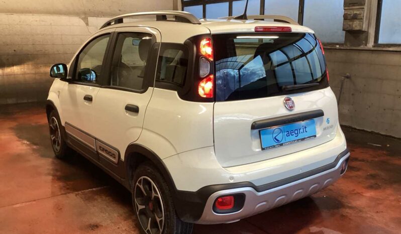 
								Fiat Panda Cross 1.0 FireFly S&S Hybrid full									