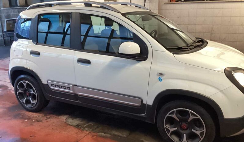 
								Fiat Panda Cross 1.0 FireFly S&S Hybrid full									