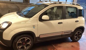 
										Fiat Panda Cross 1.0 FireFly S&S Hybrid full									
