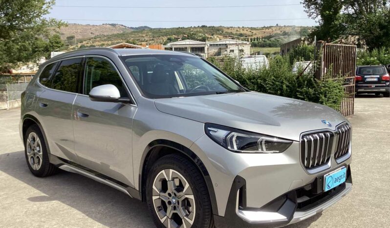 
								BMW iX1 (U11) xDrive 30 xLine full									