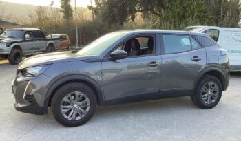 
										Peugeot 2008 2ª serie PureTech 100 S&S Active Pack full									