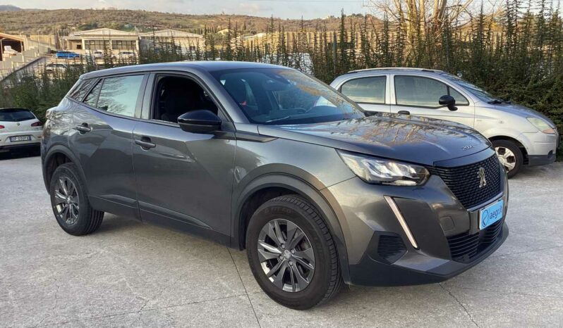 
								Peugeot 2008 2ª serie PureTech 100 S&S Active Pack full									