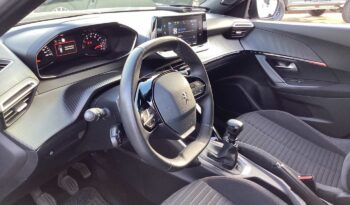 
										Peugeot 2008 2ª serie PureTech 100 S&S Active Pack full									