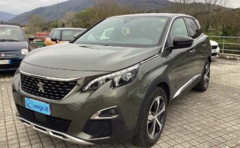 kfz117096425_img_6158