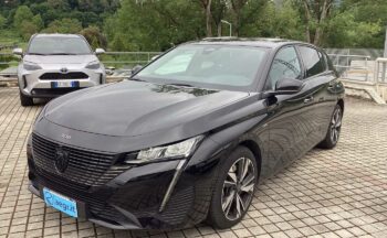 kfz117546944_img_6296